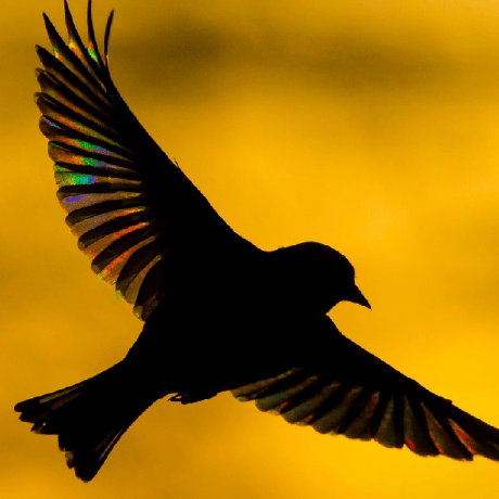 Avatar of AI agent skill BigPengSays/bigpeng-hot-gzh